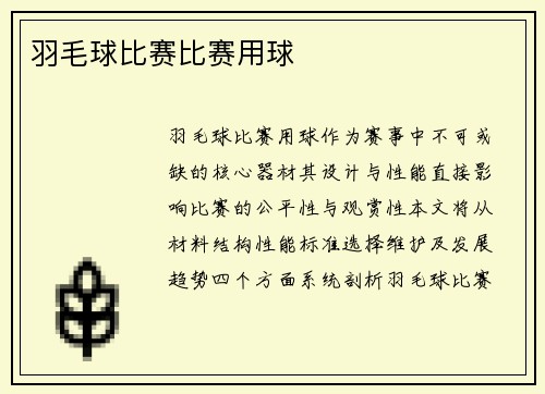 羽毛球比赛比赛用球