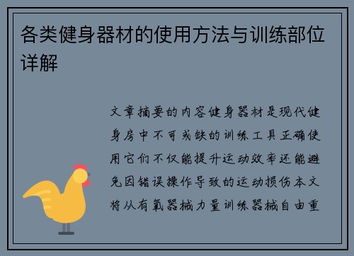 各类健身器材的使用方法与训练部位详解